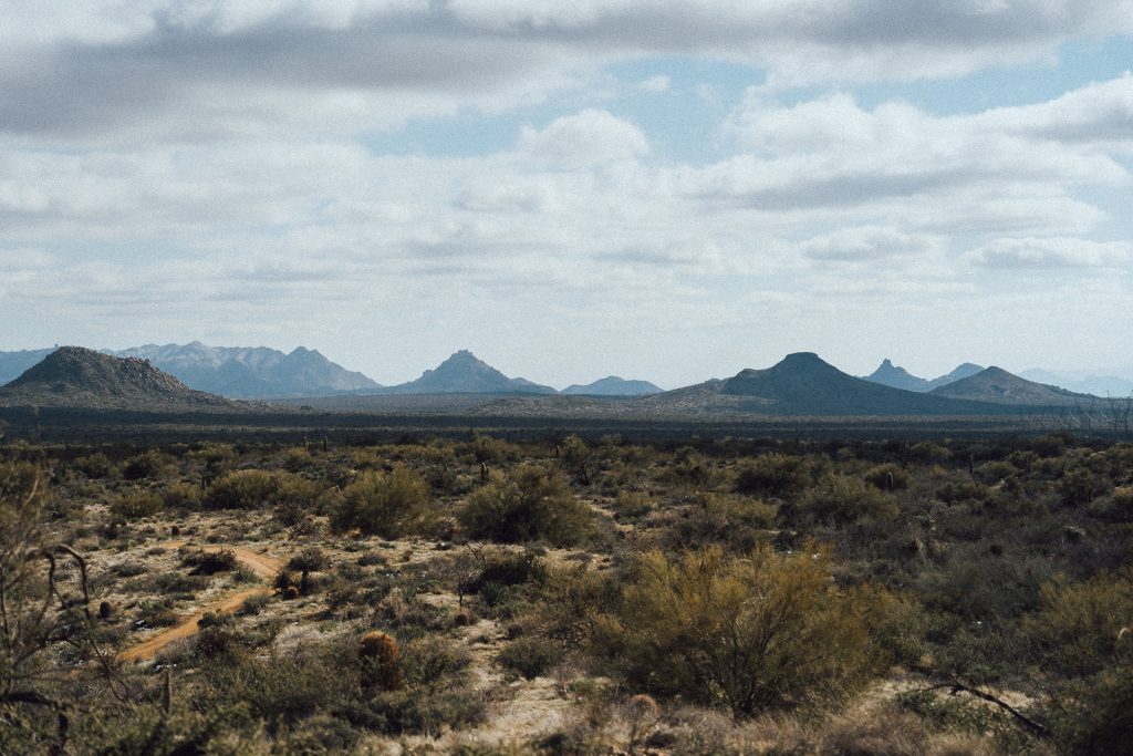 Arizona Desert with mountains in the background and shrubs in the foreground